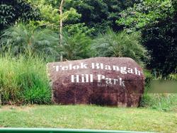 Blk 54 Telok Blangah Drive (Bukit Merah), HDB 3 Rooms #129366182